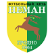 Team logo